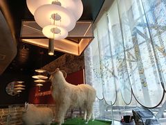 -百草滩羊清水涮羊肉·清真·宁夏盐池滩羊(莲花桥店)