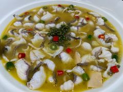 -青花椒花椒鱼(合生汇店)