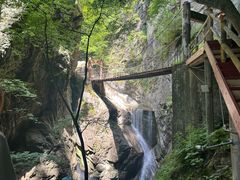 -牛背梁国家森林公园
