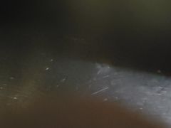 -老山村酒楼(白石洲店)