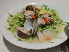 花甲豌豆苗-顺卿庭·广东顺德菜(夫子庙水游城店)