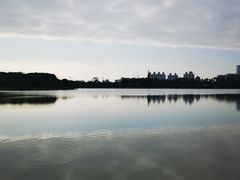 -海珠湖公园