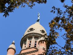 -上海佘山国家森林公园西佘山园