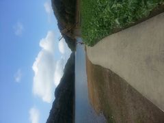 android_upload_pic-广州市石门国家森林公园