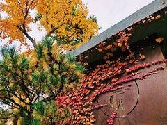 -熙古里艺术村