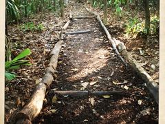 -武吉知马自然保护区