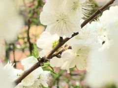 -北京安贞环宇荟