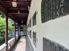 -焦山风景区