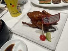 -侨美食家·40年地道粤菜(珠江新城店)