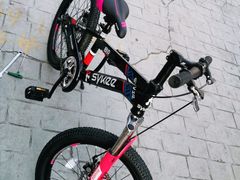 -道路口单车爱瓦士dahon大行