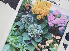 -朝来春花卉市场-东停车场