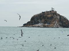 -棒棰岛宾馆景区