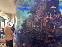 -长隆横琴湾酒店(珠海旗舰店)
