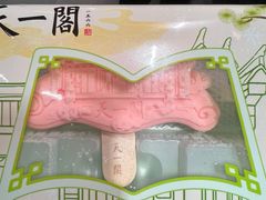 -天一阁博物院