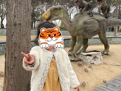 -合肥滨湖国家森林公园