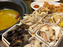 -菌乡缘·野生菌蒸汽鱼火锅(江边夜市店)