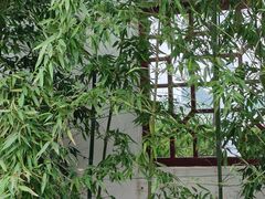 -盛世南宫影视城(北普陀影视城)
