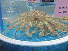 -皮记海鲜1995(寮步店)