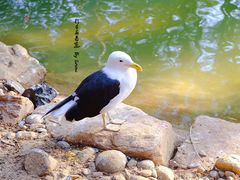 -费瑟代尔野生动物园