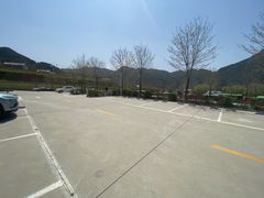 -王顺山国家森林公园
