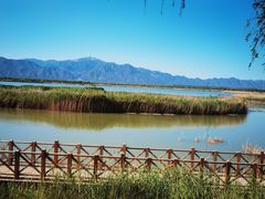 -野鸭湖国家湿地公园