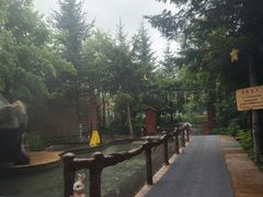 -长白山聚龙火山温泉