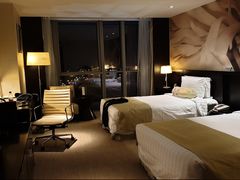 -国家会议中心大酒店