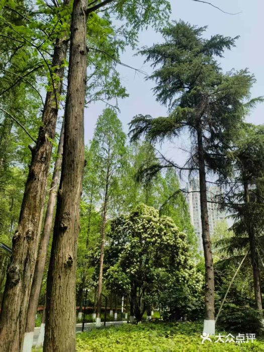 苏州河梦清园环保主题公园图片