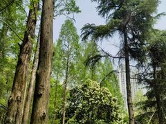 -苏州河梦清园环保主题公园