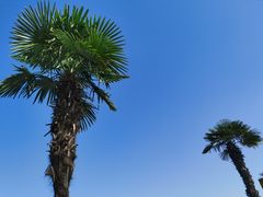 -白塘生态植物园