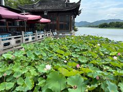 -湘湖大院(越王路店)