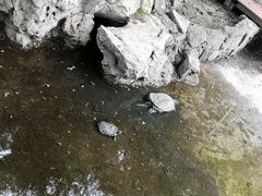 -宣武艺园