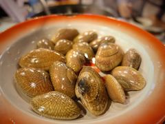 -鲜入围煮花胶鸡海鲜火锅