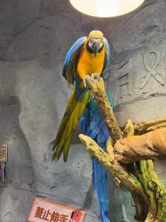 -Zoolung Zoolung动物主题公园(海信广场店)