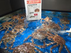 水产区-盒马鲜生(馥邦国际店)