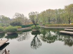 -百脉泉景区
