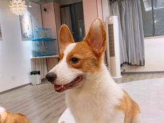 -浣熊柯尔鸭土拨鼠·电玩咖