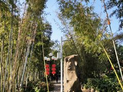 -荔枝公园(福田区)
