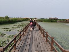 -宁波杭州湾国家湿地公园
