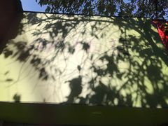 -御抹茶