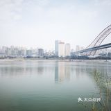站在长江边上，左右各有三座桥，重庆既是雾都也是桥都