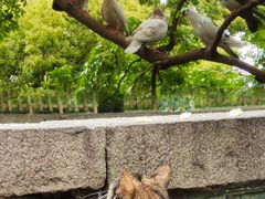 -西园戒幢律寺