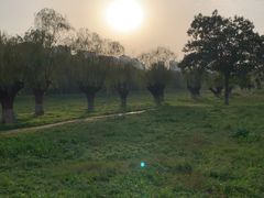 -汉长安城未央宫国家考古遗址公园