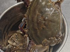 -半岛听涛蒸汽海鲜自助(K11店)