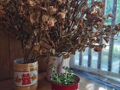 -春风习习