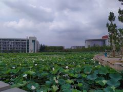 -南京医科大学(江宁校区)