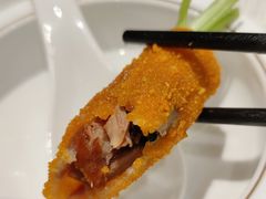 -丁老爷子苏香圆