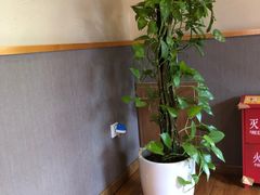 -重庆南山海昌汤都
