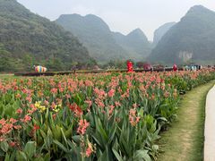 -靖西鹅泉风景区