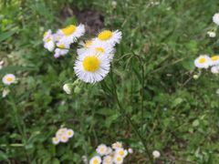 -昆山城市生态森林公园